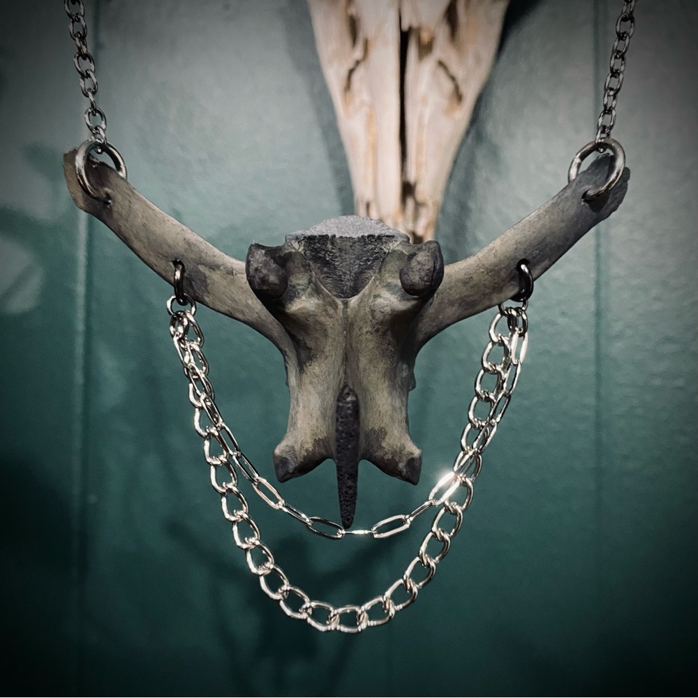 Dyed Deer Vertebrae Bone Gunmetal & Silver Chain Necklace